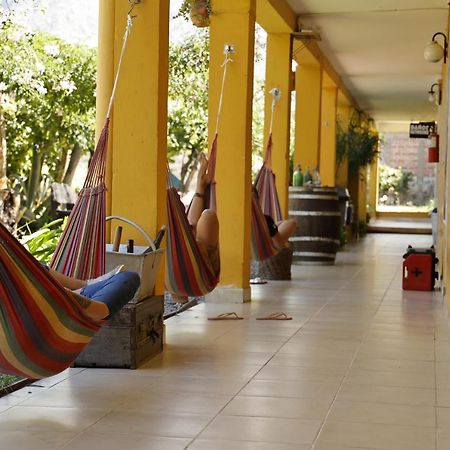 Hostel Lo De Chichi Cafayate Bagian luar foto